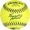 Dudley 12" USSSA WT 12 Thunder Heat Fastpitch Softballs (Dozen): 4U147Y -Outlet Fielding Gloves Store 4U147Y